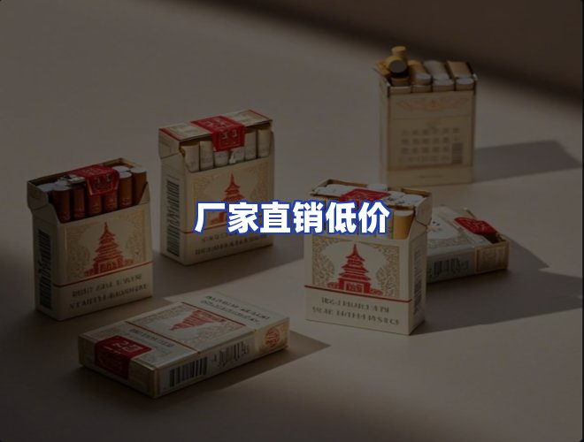 专业团队